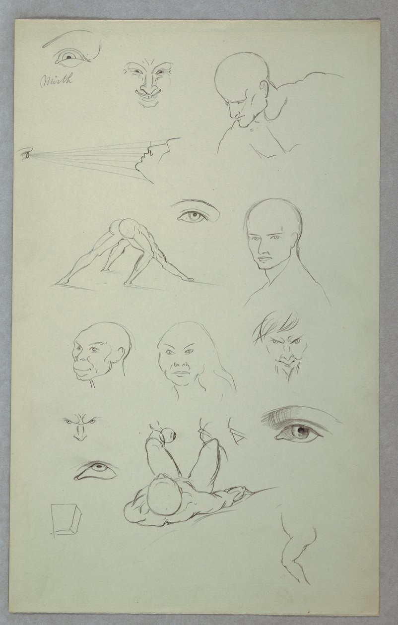 Anatomical Studies, 1865–70 by Frederic Edwin Church