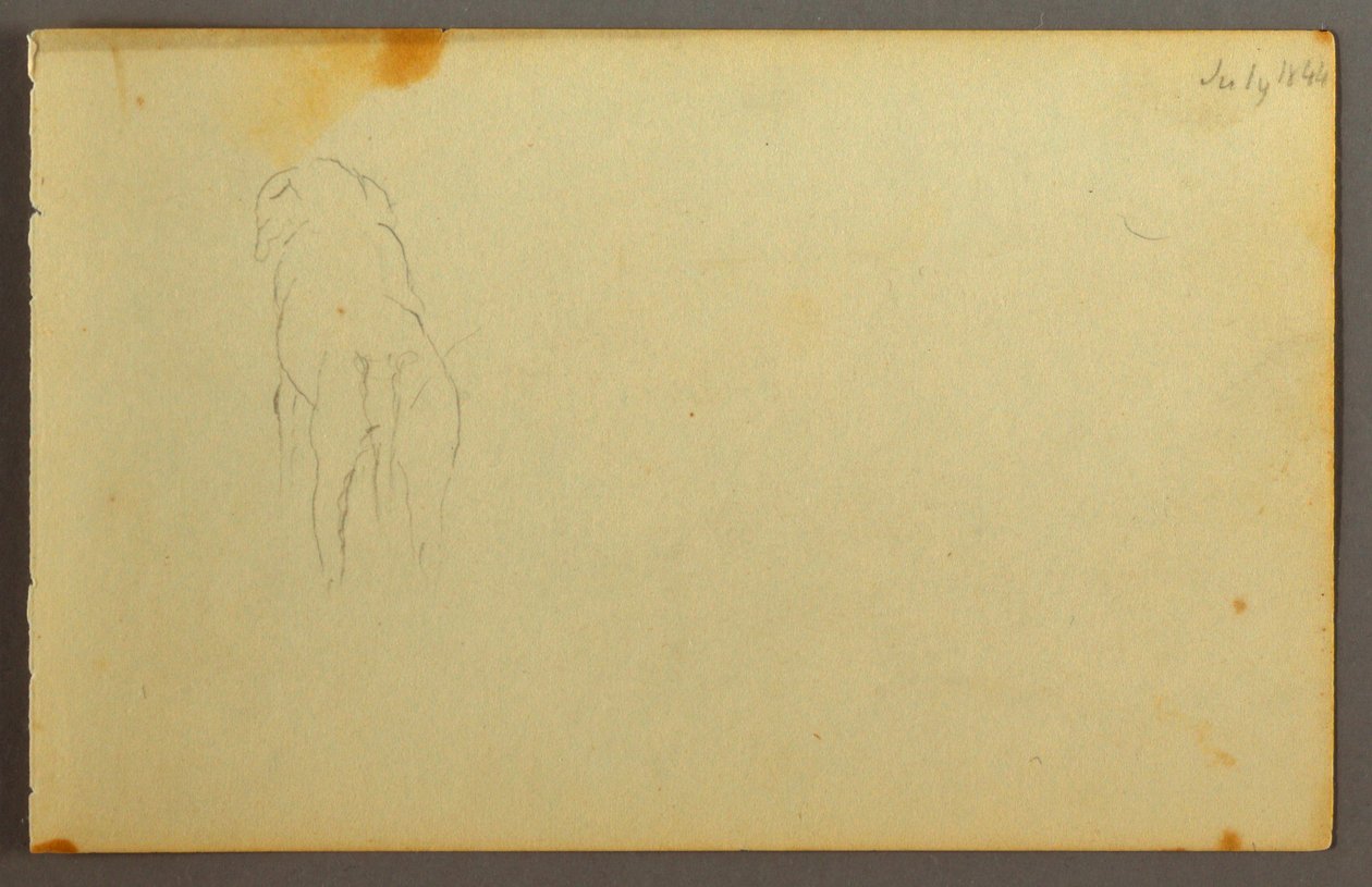 Animal, from the back, 1844 by Frederic Edwin Church