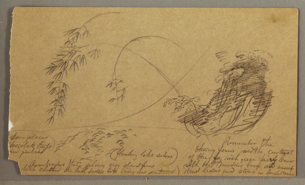Bamboo-like Twigs, possibly 1865–66 by Frederic Edwin Church
