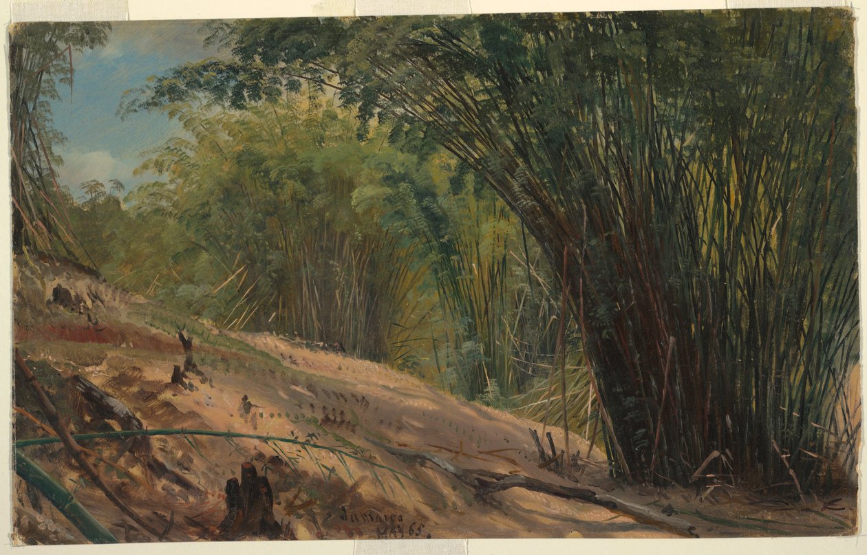 Bamboo Grove, Jamaica, 1865 by Frederic Edwin Church