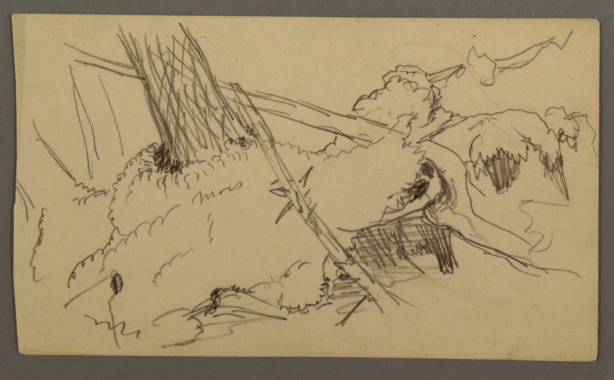 Base of Tree, Boulder, possibly 1877 by Frederic Edwin Church