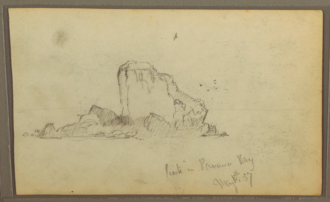 Birds, "Rock in Panama Bay"; Verso: "Heavy Vines", May 15, 1857 by Frederic Edwin Church