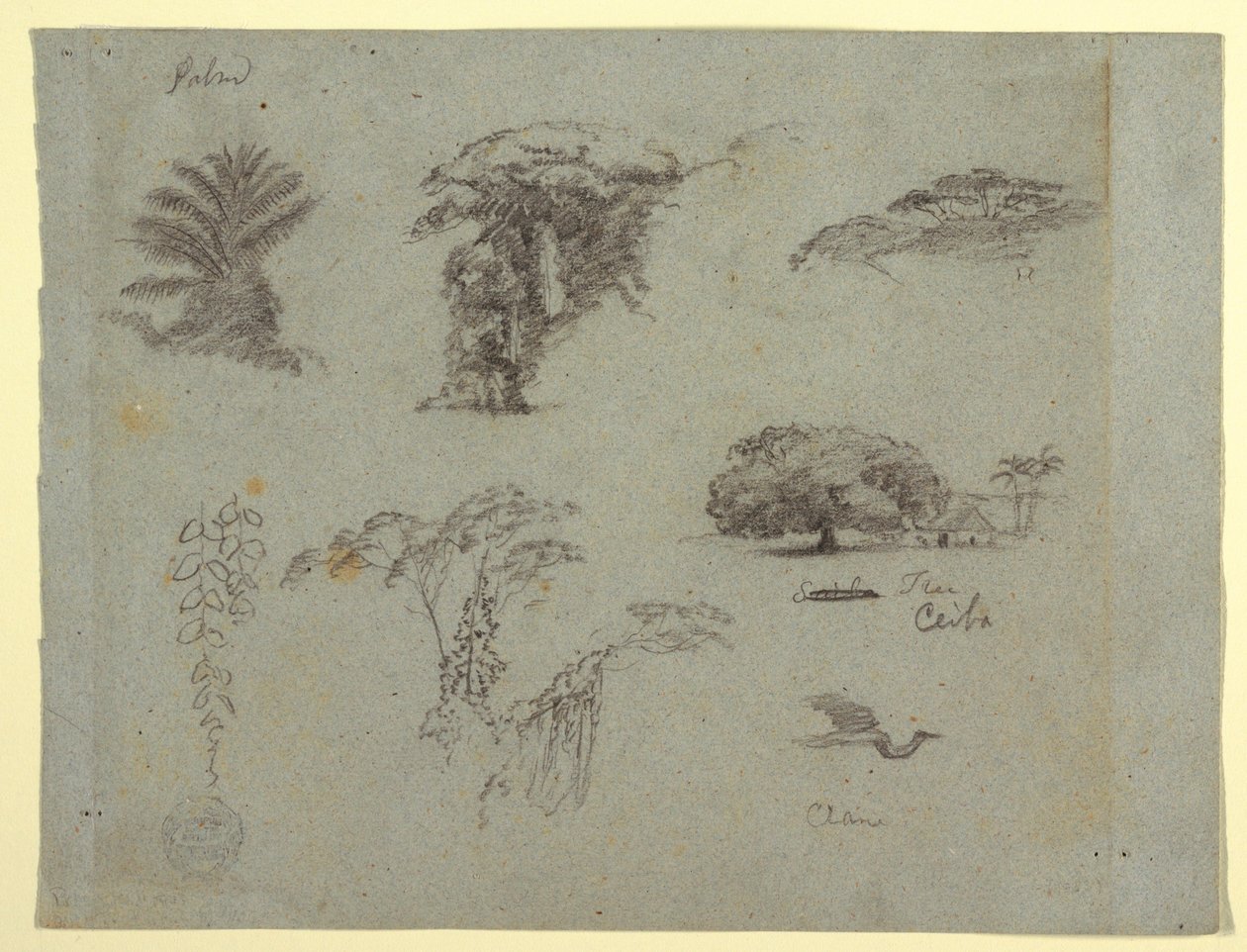 Botanical Sketches from South America: a Palm, Groups of Trees, Hanging Twigs, a Big Tree beside a House, and a Flying Crane, 1853, probably May by Frederic Edwin Church