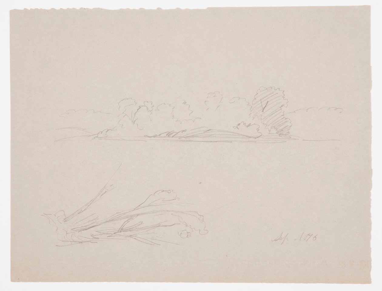 Botanical Sketches: Landscape, Trees at a Shore, September 1876 by Frederic Edwin Church