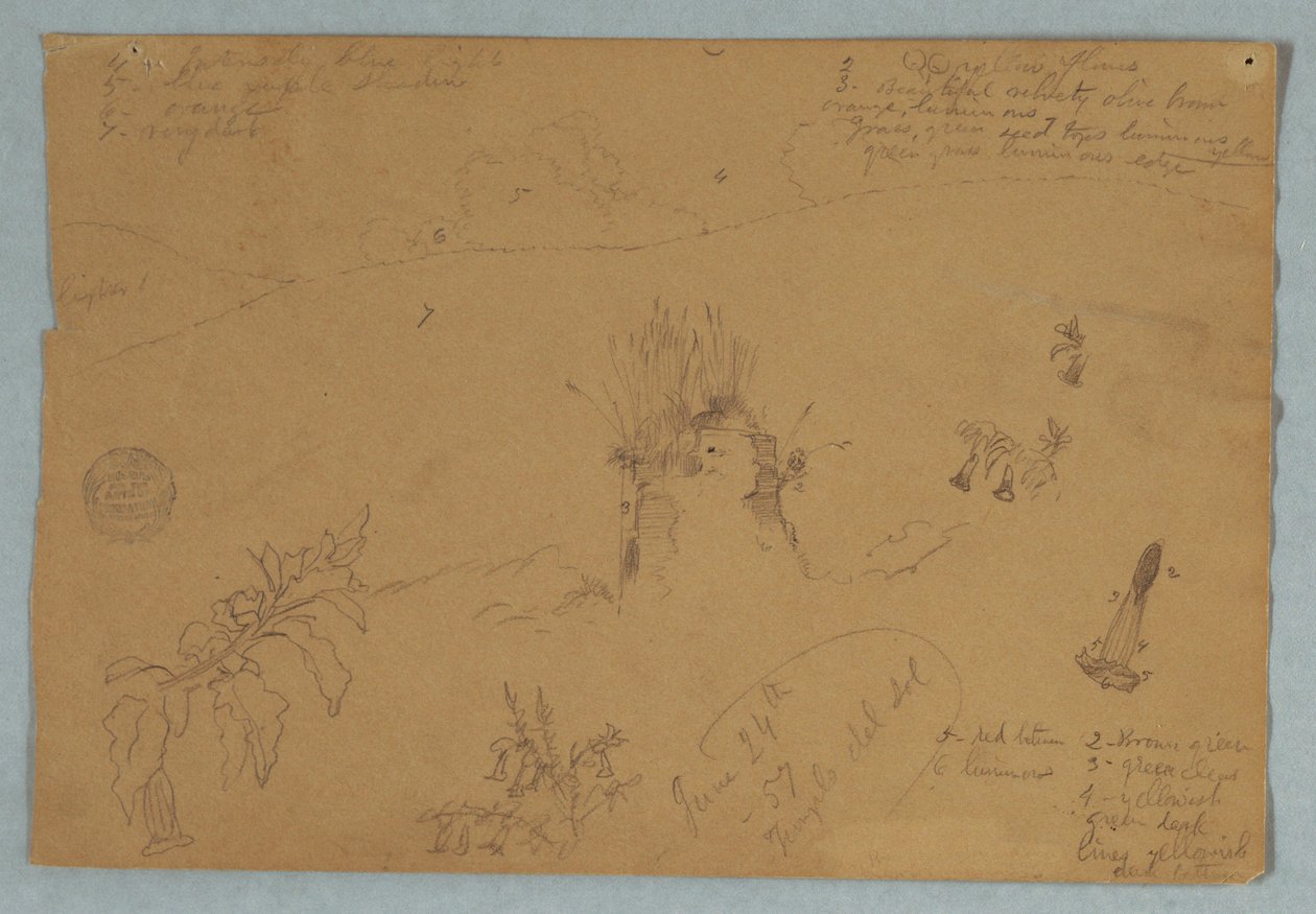 Drawing. Botanical and Cloud Sketches Near Quito, Ecuador by Frederic Edwin Church
