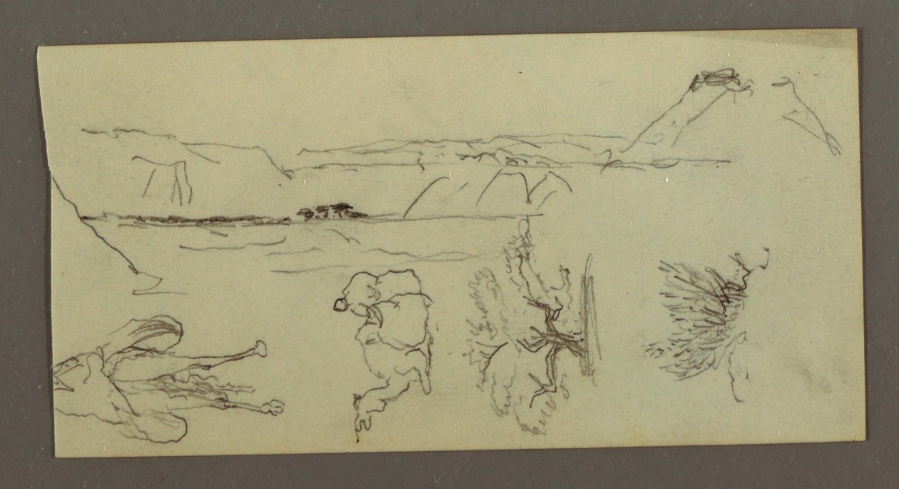Camel Studies, Tree Bush, and Valley, Possibly 1868 by Frederic Edwin Church