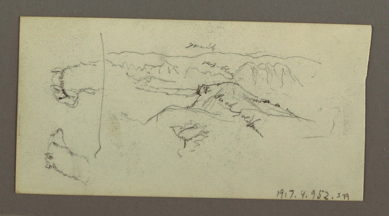 Camel Studies, Tree Bush, and Valley, Possibly 1868 by Frederic Edwin Church