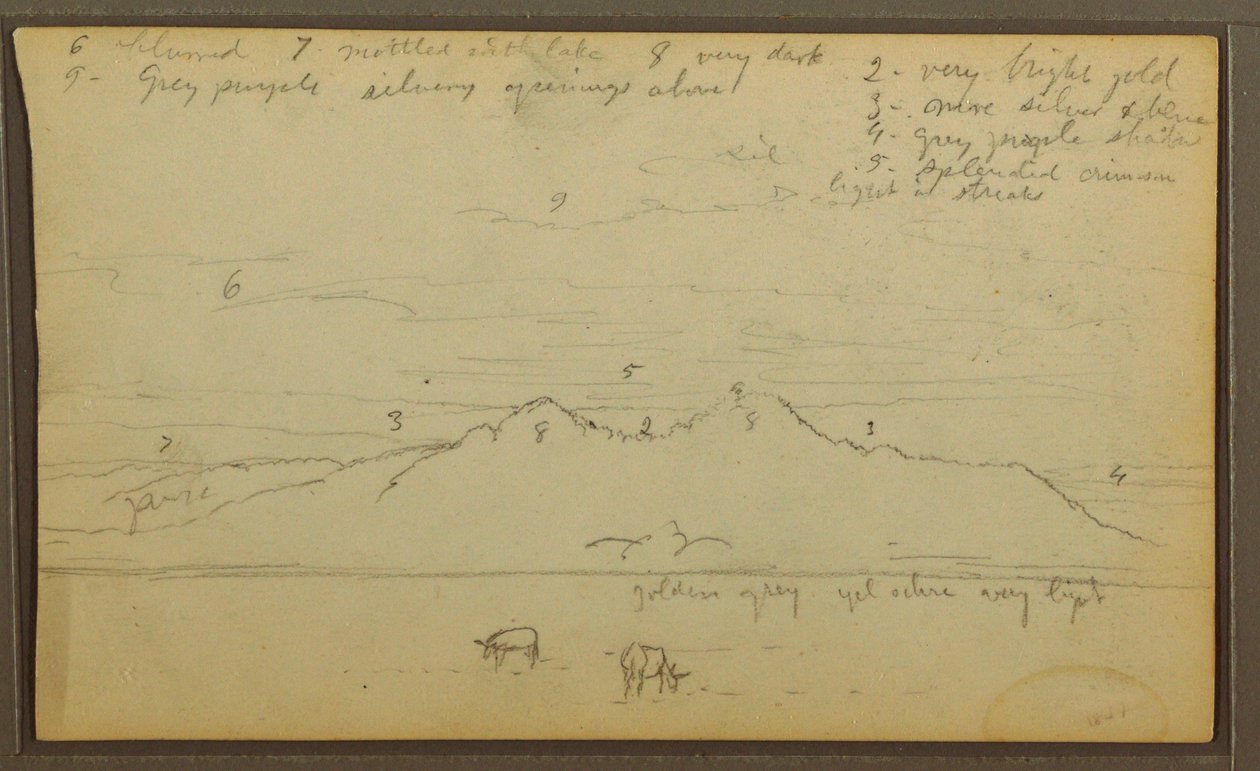 Cows in Landscape; Verso: Bamboo, 1857 by Frederic Edwin Church