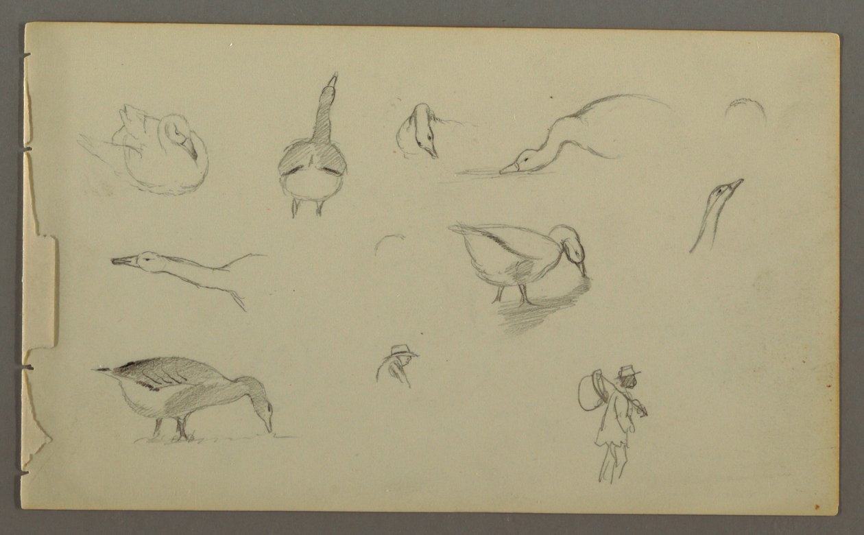 Eight Studies of Ducks, Two Figure Studies, possibly 1857–58 by Frederic Edwin Church