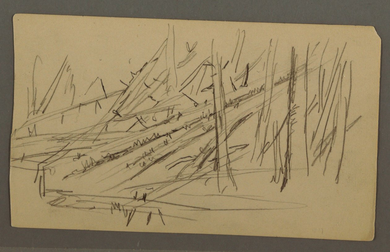 Fallen trees, possibly 1877 by Frederic Edwin Church