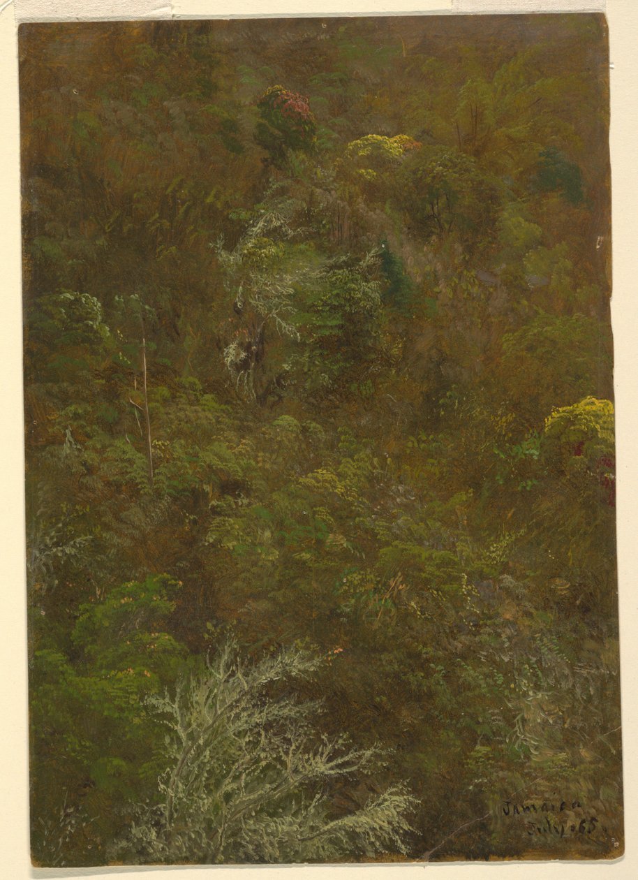 Hillside Covered with Bushes and Trees, July 1865 by Frederic Edwin Church