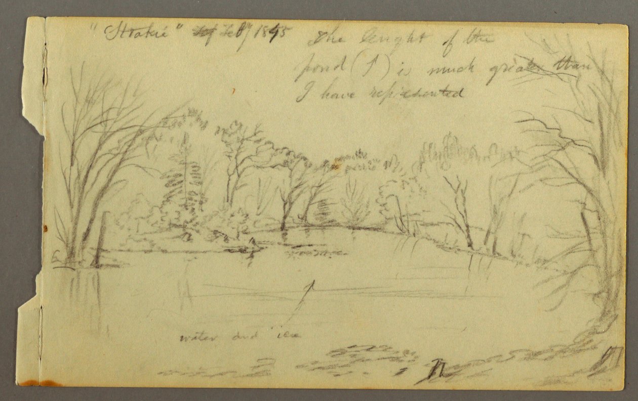 Htakie (?) Pond Bordered by Trees, 1845 by Frederic Edwin Church