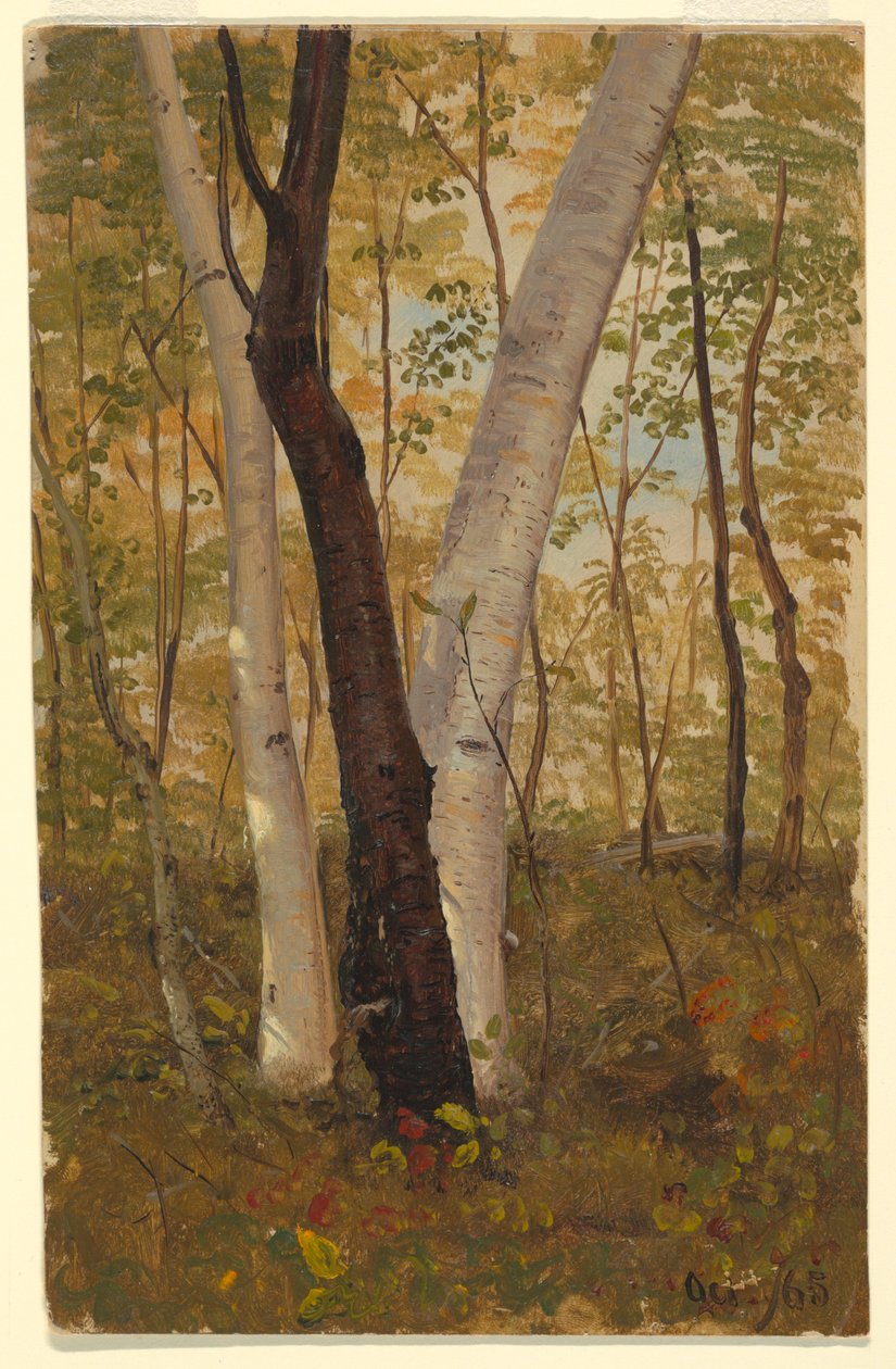 In the Woods, Hudson, New York, October 1865 by Frederic Edwin Church