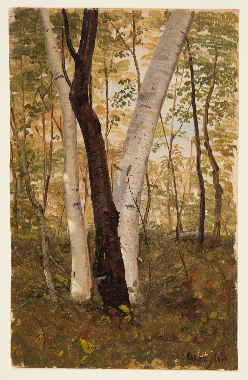 In the Woods, Hudson, New York, October 1865 by Frederic Edwin Church