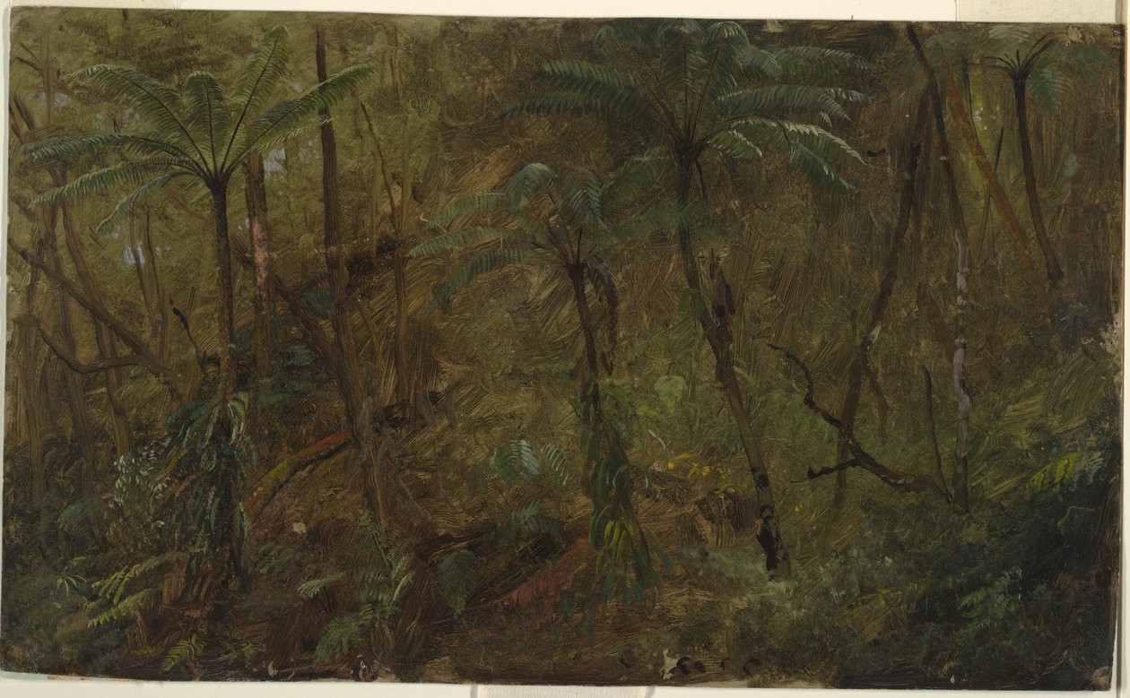 In the Woods of Jamaica, West Indies, 1865 by Frederic Edwin Church