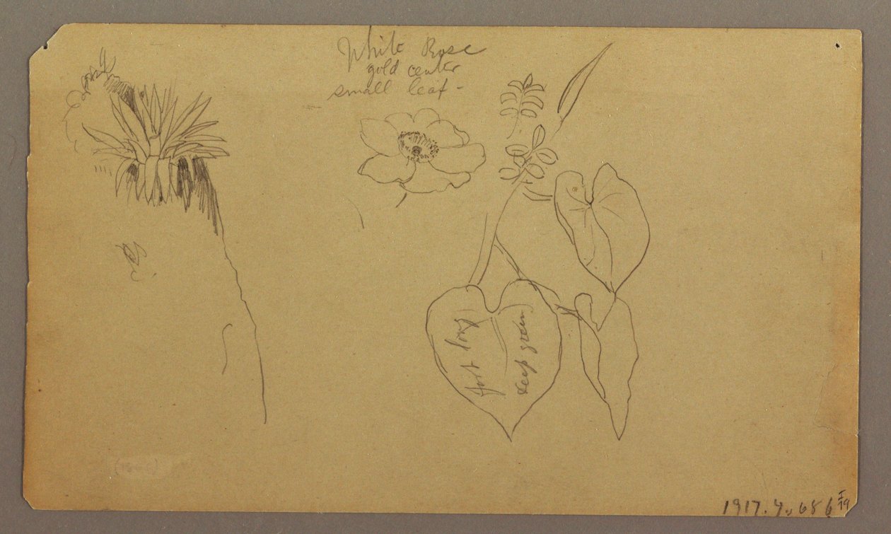 Landscape; Verso: Botanical Sketches, 1865 by Frederic Edwin Church