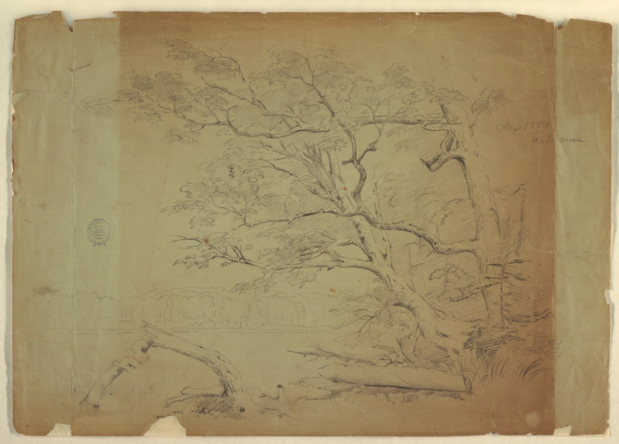 Landscape with Trees and a Stream, Grand Manan Island, Canada, September 1851 by Frederic Edwin Church