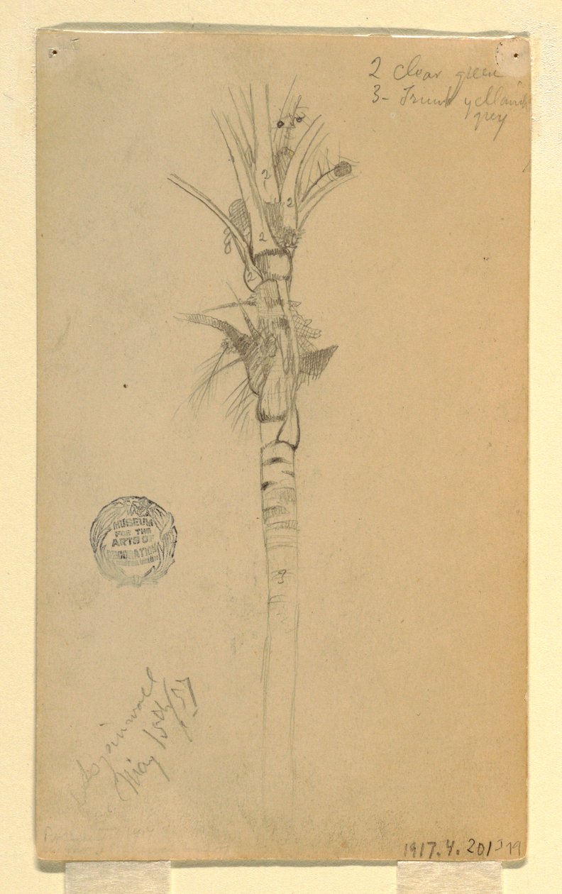 Leaves and Stem of a Palm Tree, Aspinwall, Panama, May 15, 1857 by Frederic Edwin Church