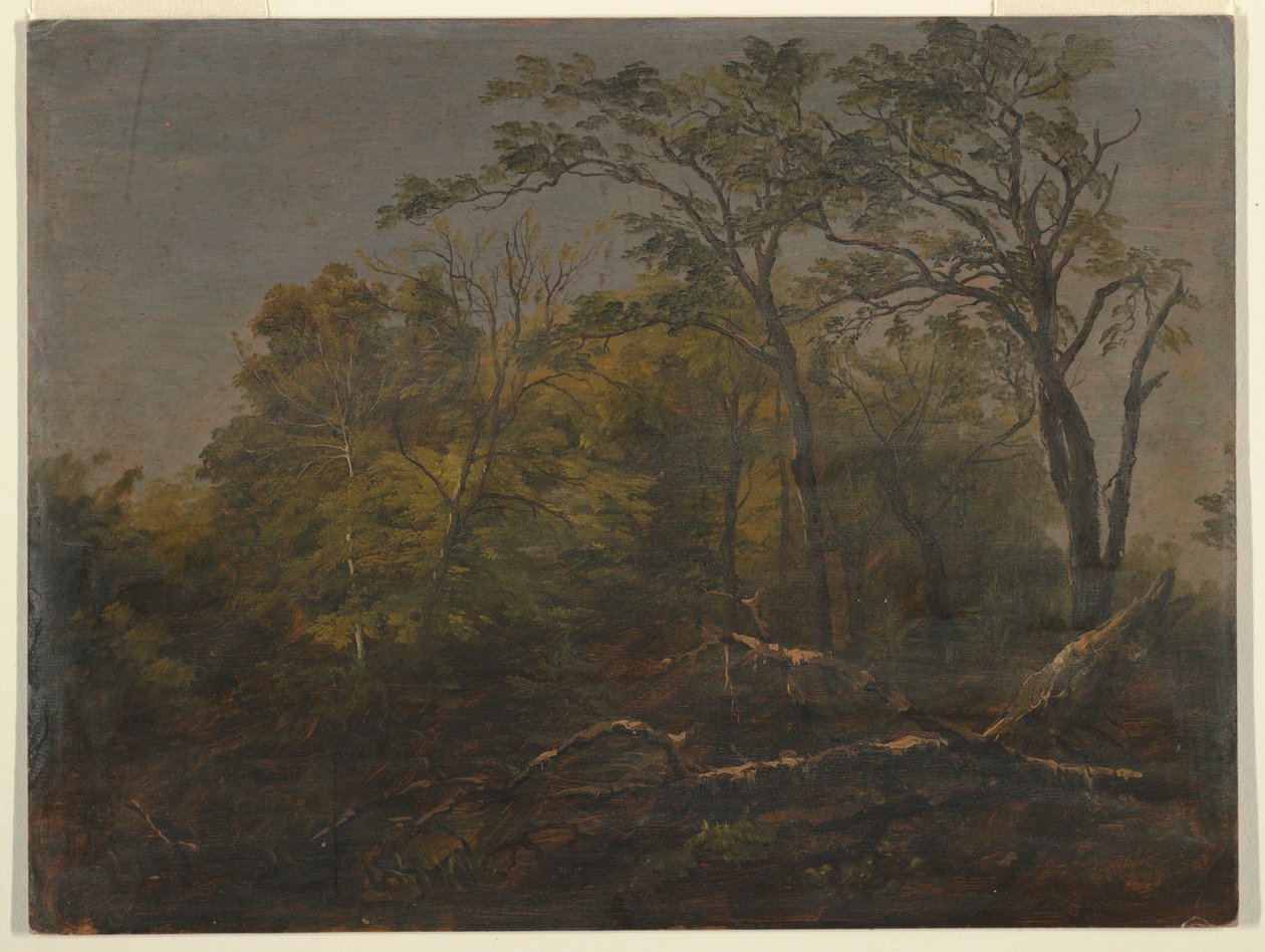 Maine Woods, 1845–55 by Frederic Edwin Church