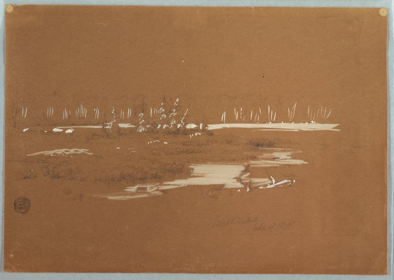 Marshy Landscape near Millinocket, September 20, 1878 by Frederic Edwin Church