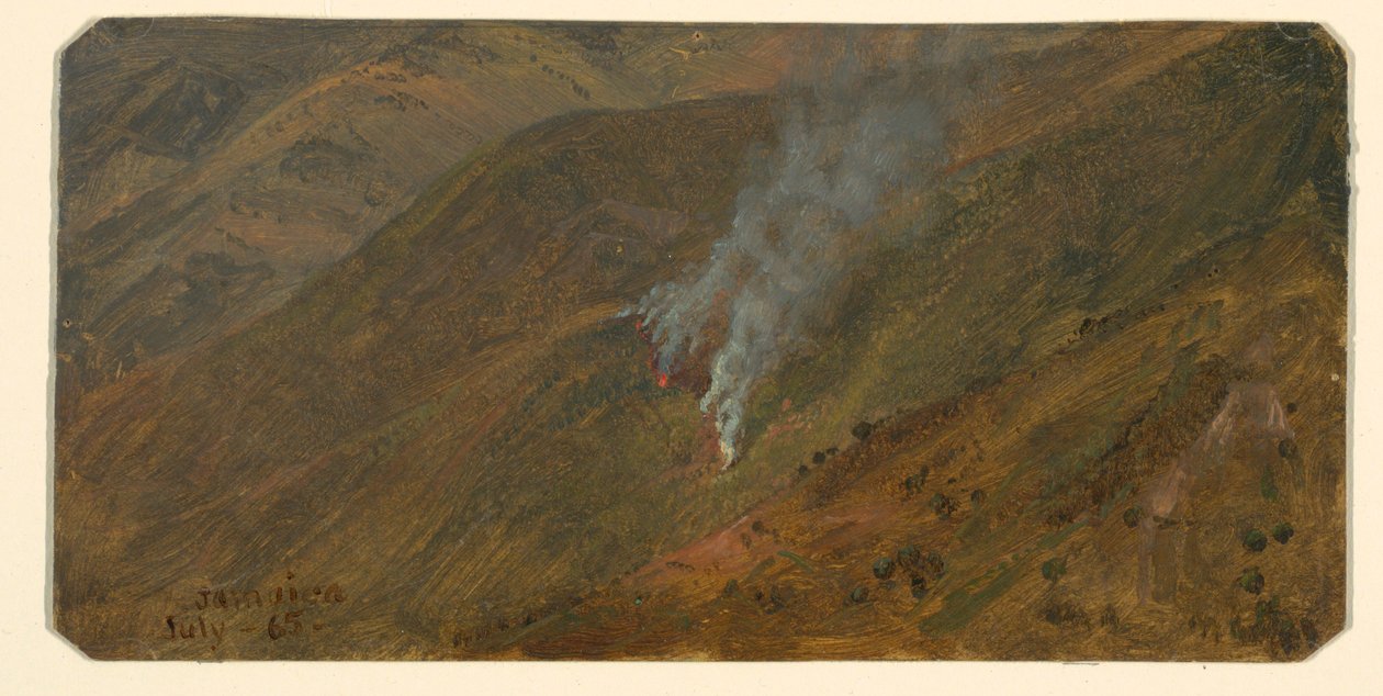 Mountainside with Brush-fire, June 1865 by Frederic Edwin Church