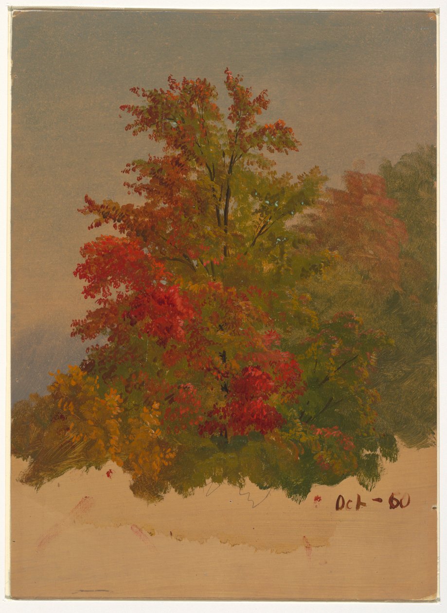 Mt. Desert Island?, Maine, October 1860 by Frederic Edwin Church