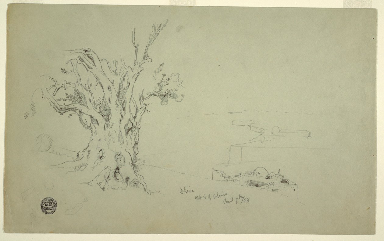 Olive Tree, Mount of Olives, April 1868 by Frederic Edwin Church