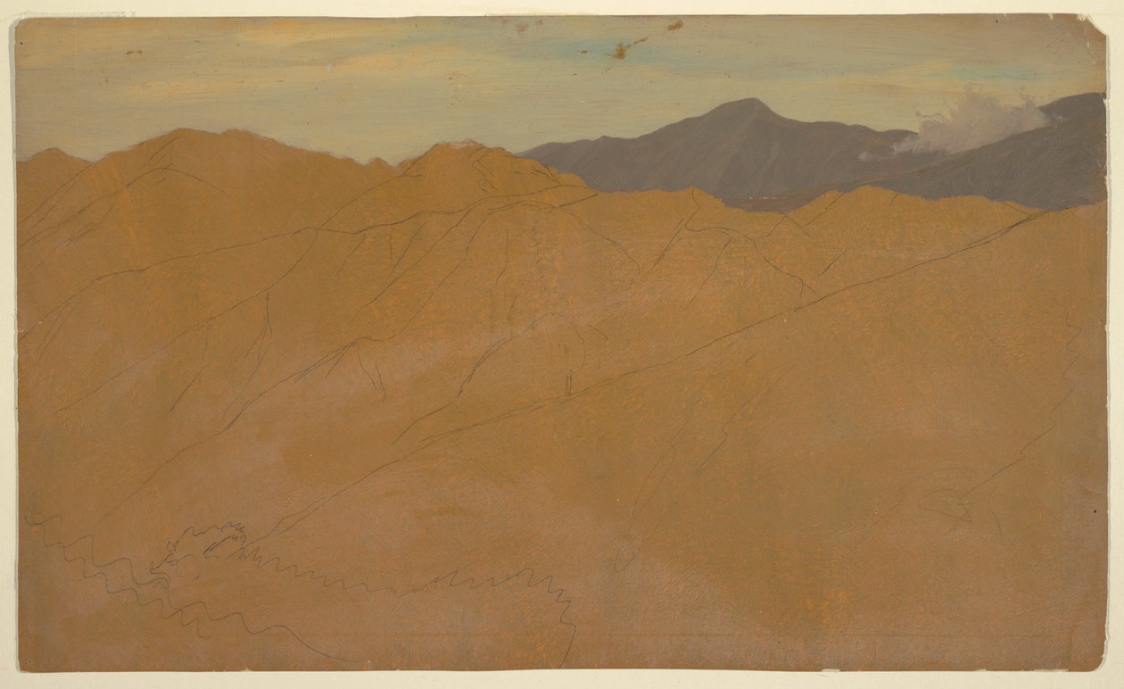 Palm Trees and Housetops, Ecuador, May 1857 by Frederic Edwin Church