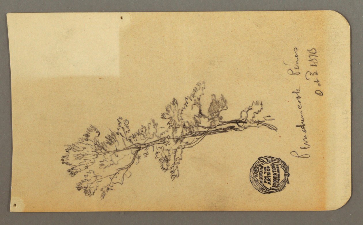 Pine Tree, October 3, 1878 by Frederic Edwin Church