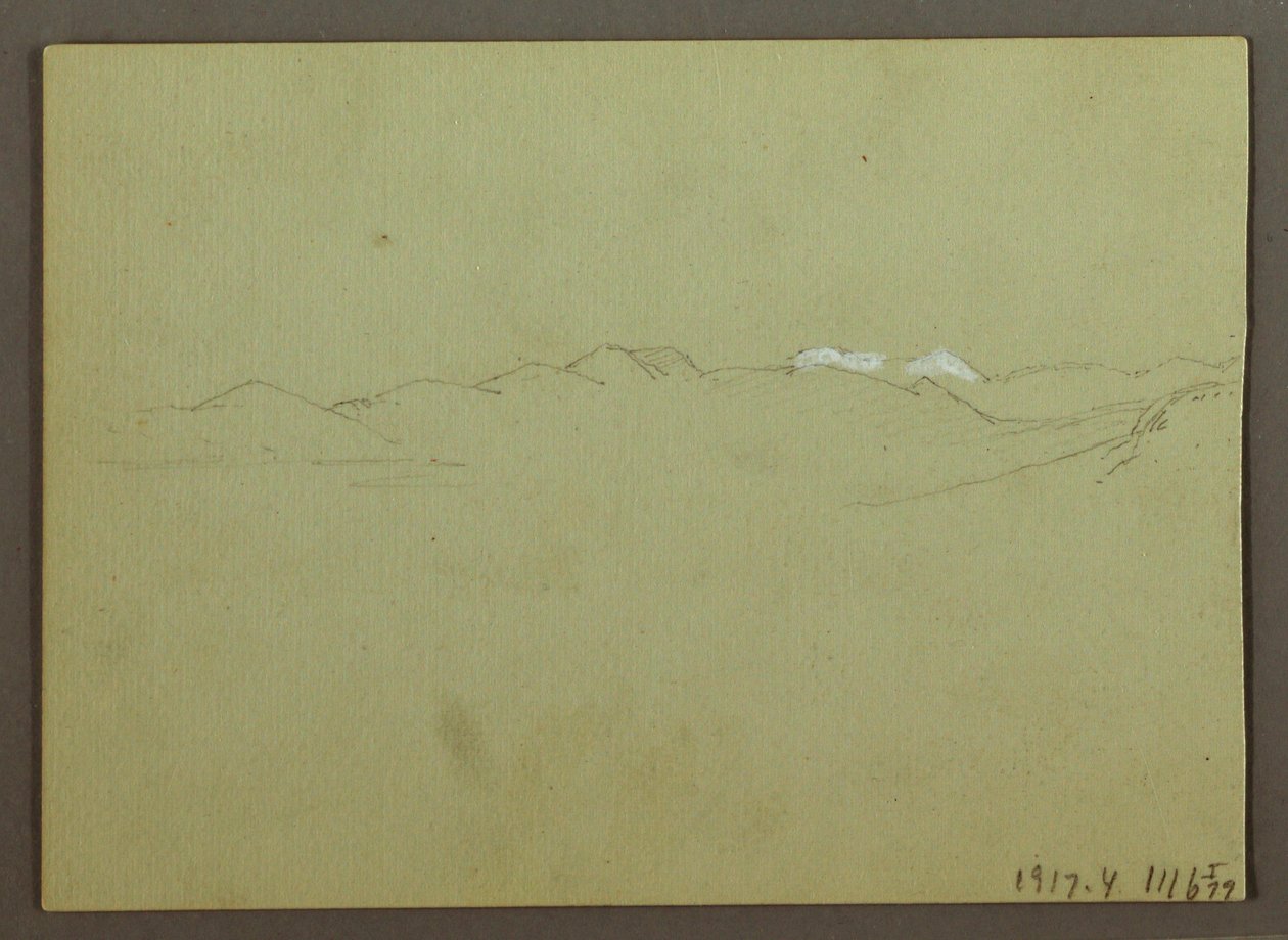 Plant and Landscape Study, April 28, 1869 by Frederic Edwin Church