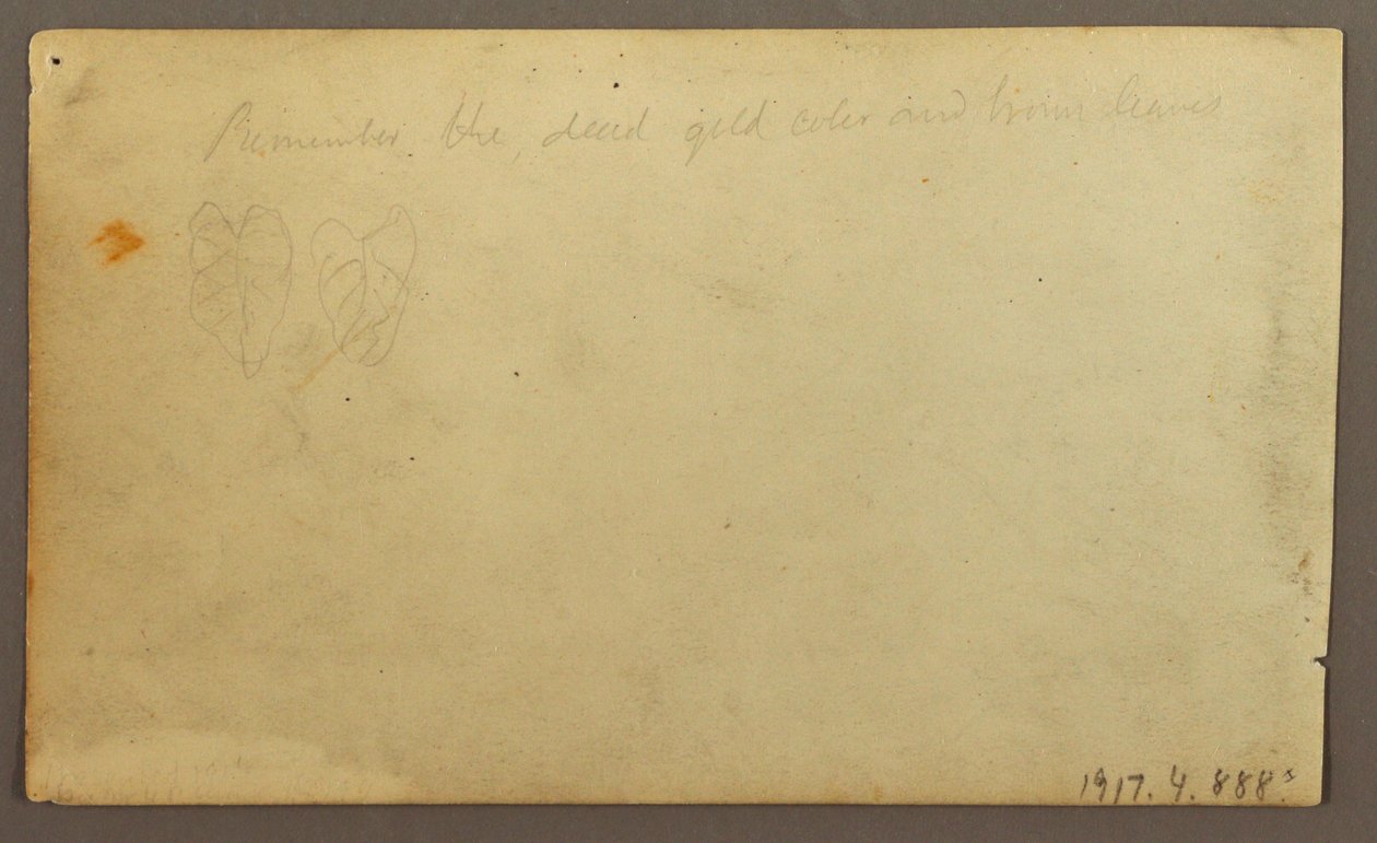 River Limona near a Village, Ecuador or Colombia; Verso: Leaves, 1857 by Frederic Edwin Church