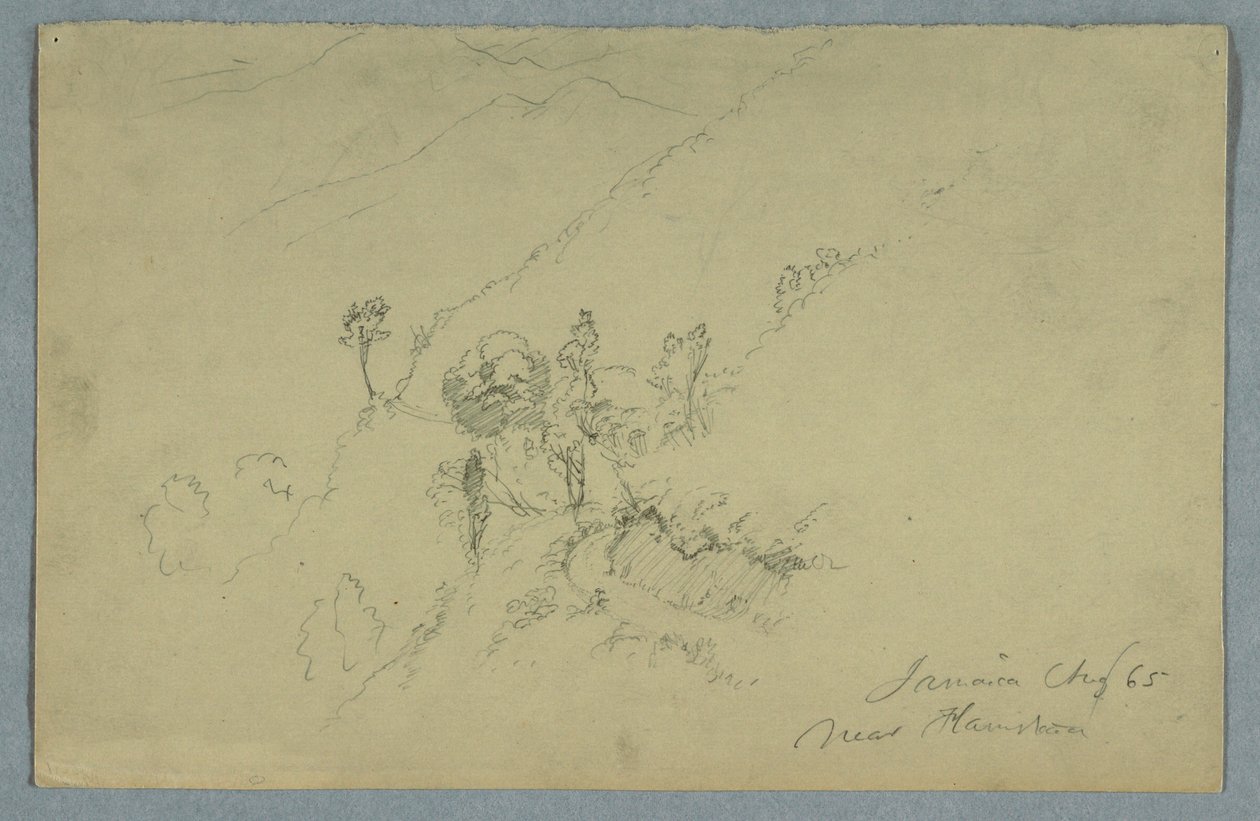 Road through the Blue Mountains, near Homestead, Jamaica, August 1865 by Frederic Edwin Church