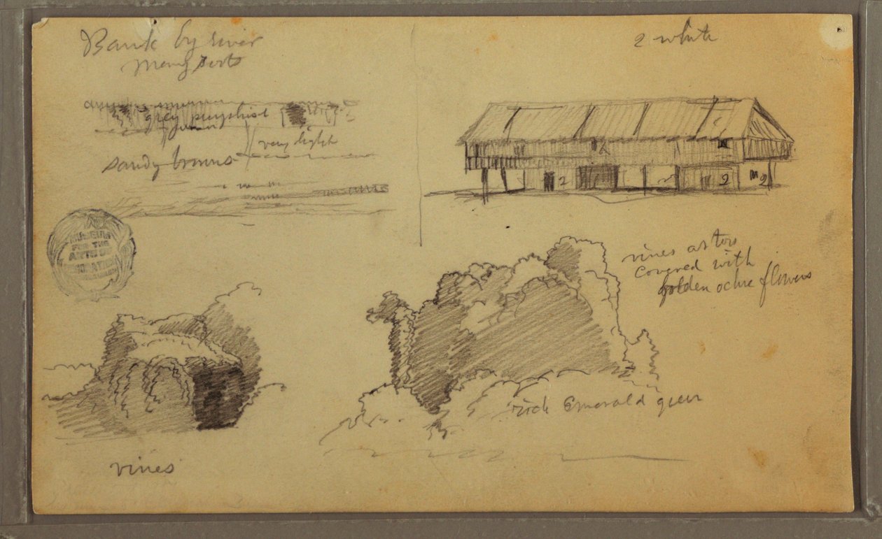 Sketches, Ecuador or Colombia; Verso: Sketches, Ecuador or Colombia, 1857 by Frederic Edwin Church