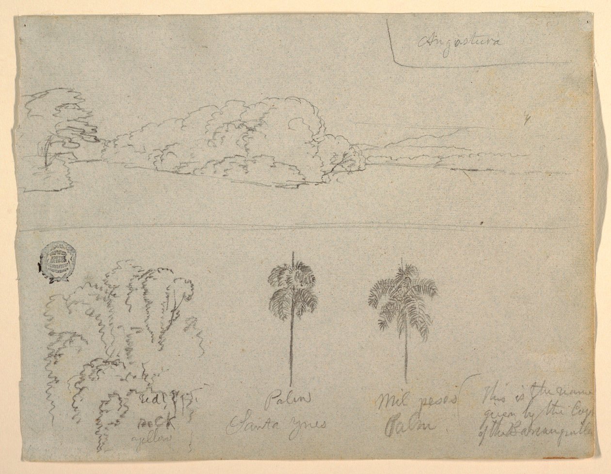 Sketches from Colombia: Bank of a River or Bay, and Trees, 1853 by Frederic Edwin Church