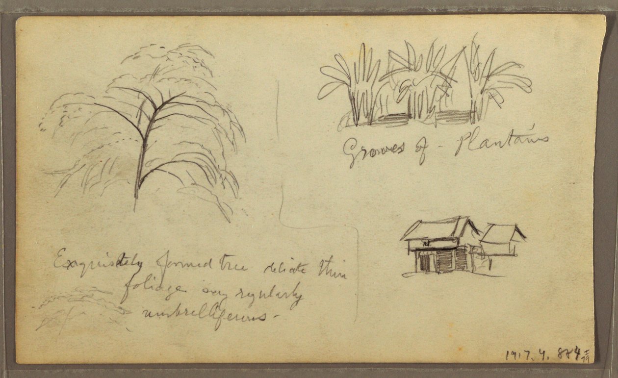 Street Corner in Guayaquil, Ecuador; Verso: Botanical Sketches, House, Ecuador or Colombia, 1857 by Frederic Edwin Church