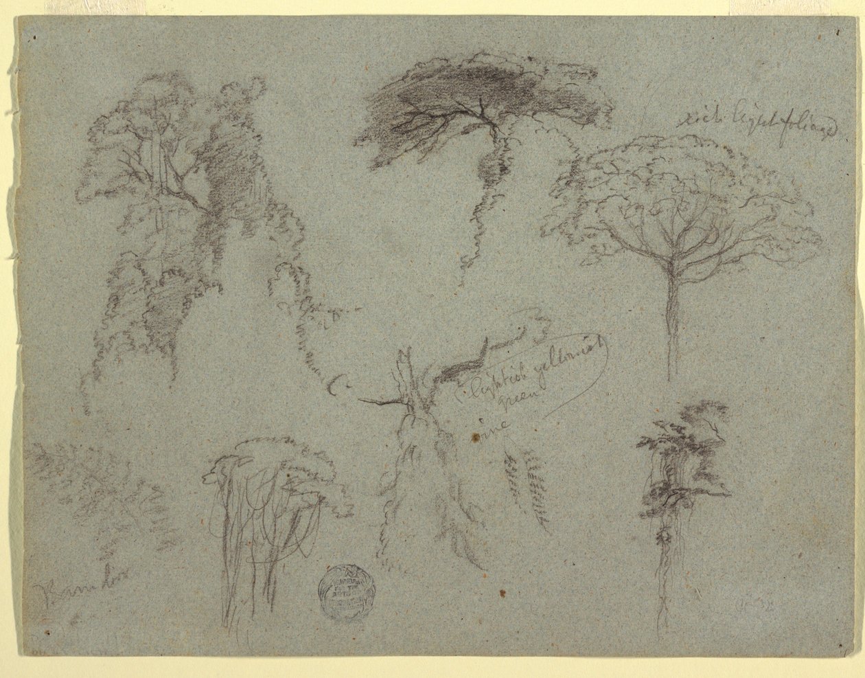 Studies of Trees, Ecuador, 1853 by Frederic Edwin Church
