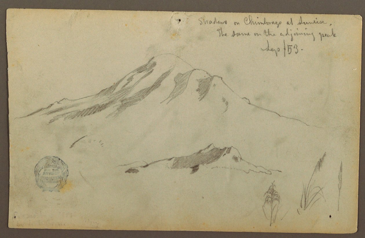 Sunrise on Mt. Chimborazo and Three Details of Grass, September 1853 by Frederic Edwin Church