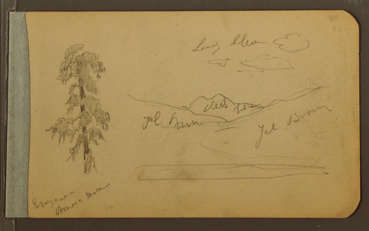 Tree, Mountains, 1889 by Frederic Edwin Church