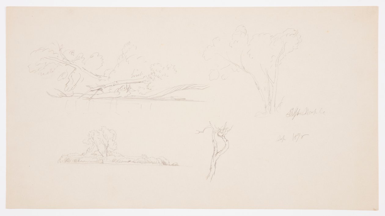 Trees, a Shore with Bushes and Trees, September 1876 by Frederic Edwin Church