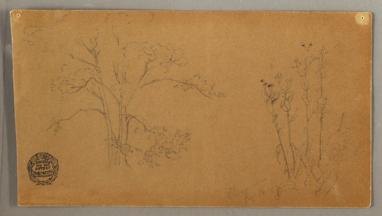 Trees and Plants, Elecampene, September 1856 by Frederic Edwin Church