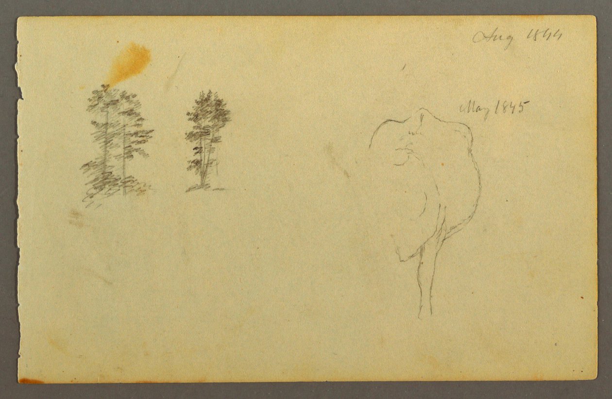 Trees, Cow, 1844 by Frederic Edwin Church