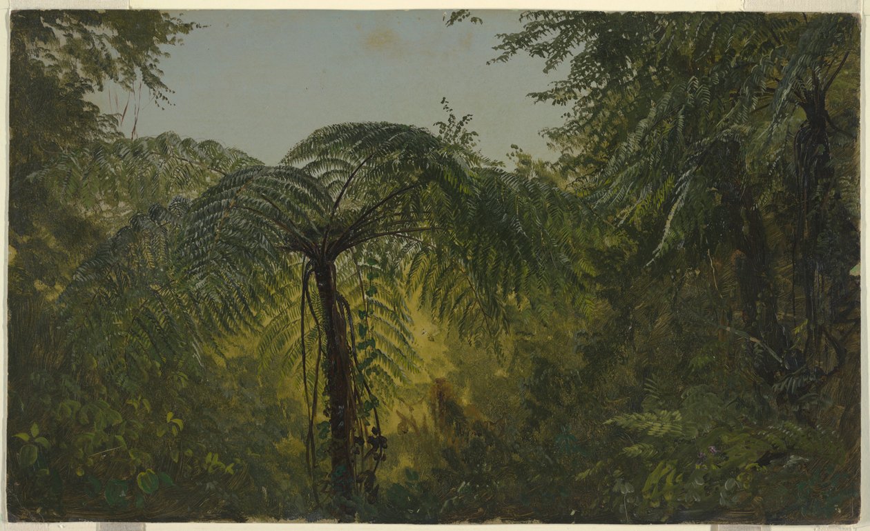 Tropical Landscape, June or July 1865 by Frederic Edwin Church