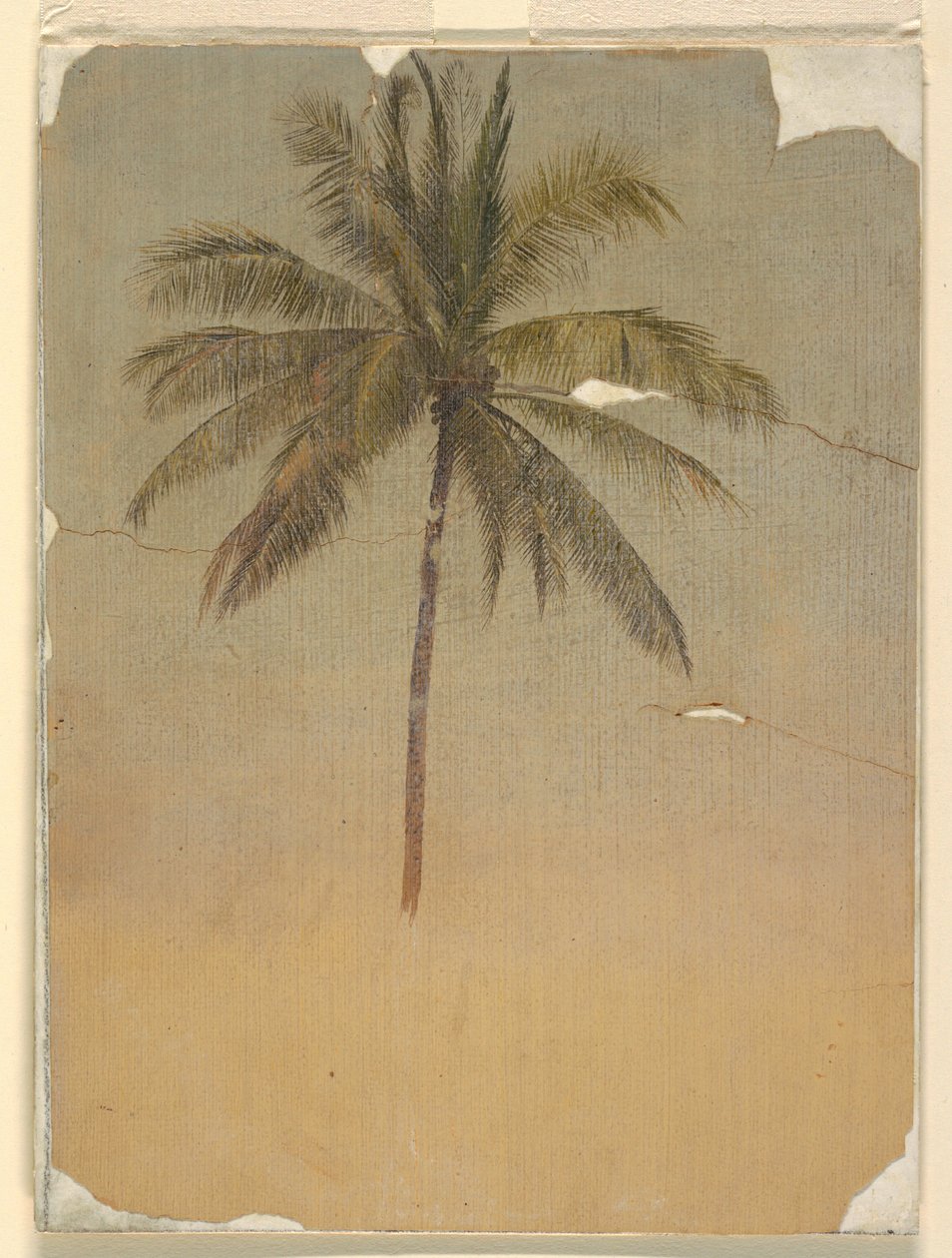 Trunk and top of a palm tree, 1865 by Frederic Edwin Church