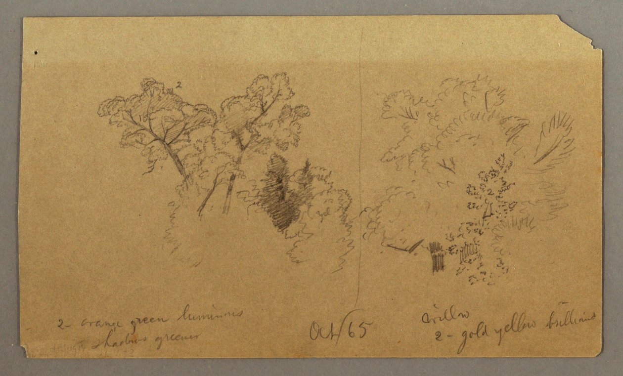 Two Tree Studies, October 1865 by Frederic Edwin Church