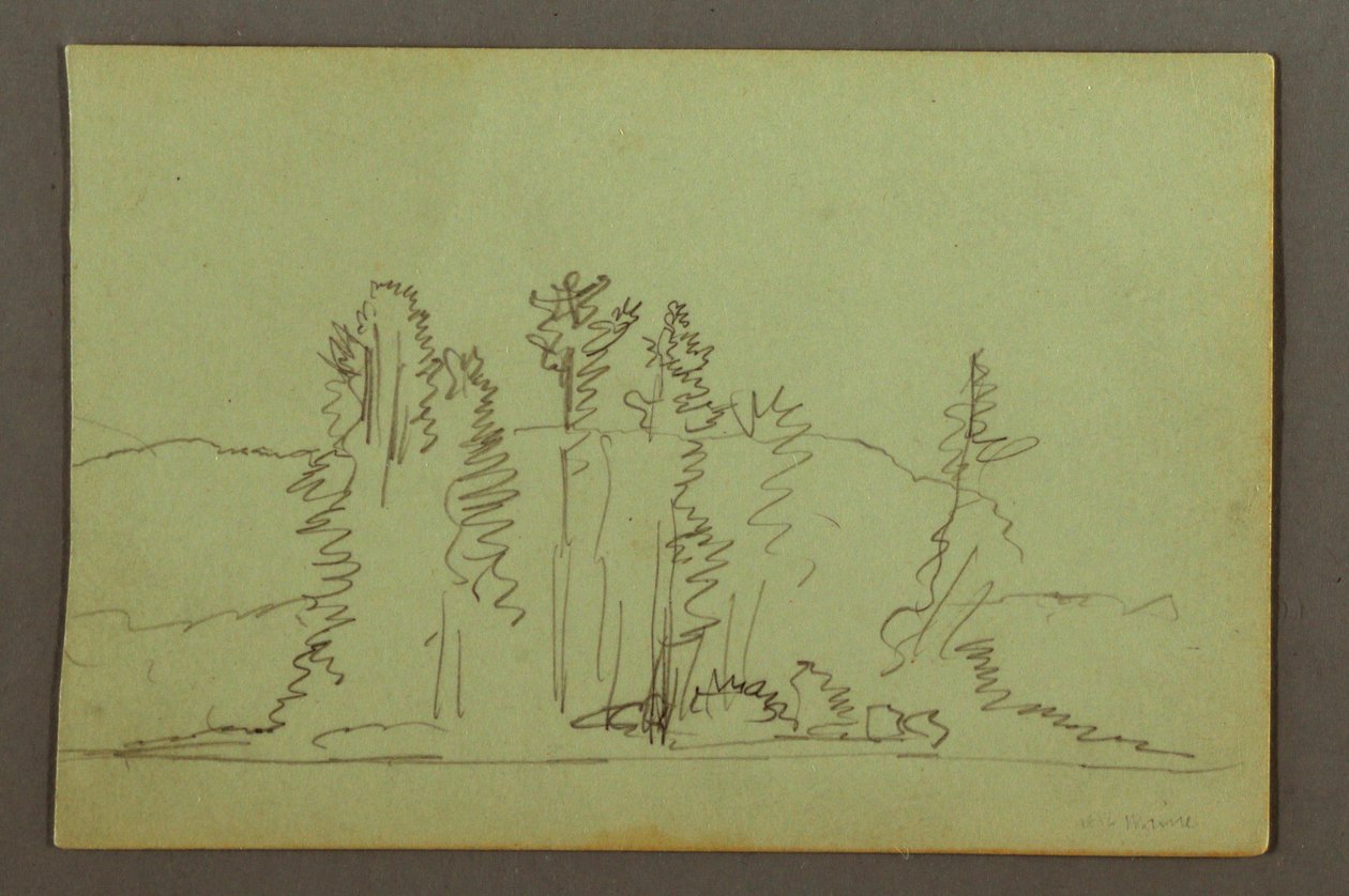 Wooded Shore of Lake, possibly 1856 by Frederic Edwin Church