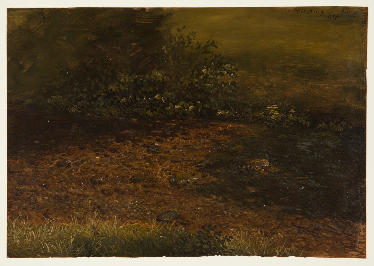 Woodland Stream in the Catskills, September 1848 by Frederic Edwin Church