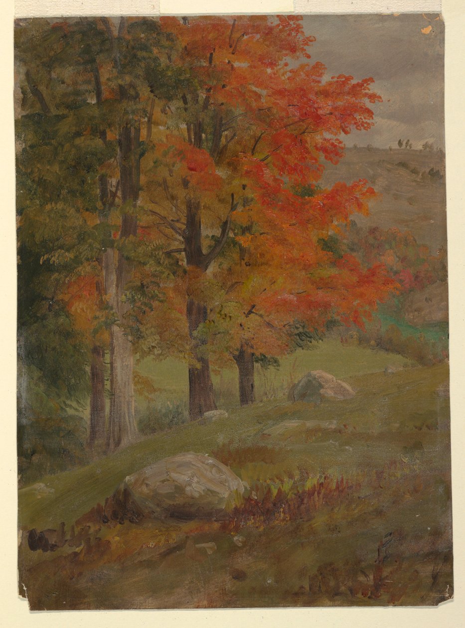 Woods in Autumn, 1865 by Frederic Edwin Church