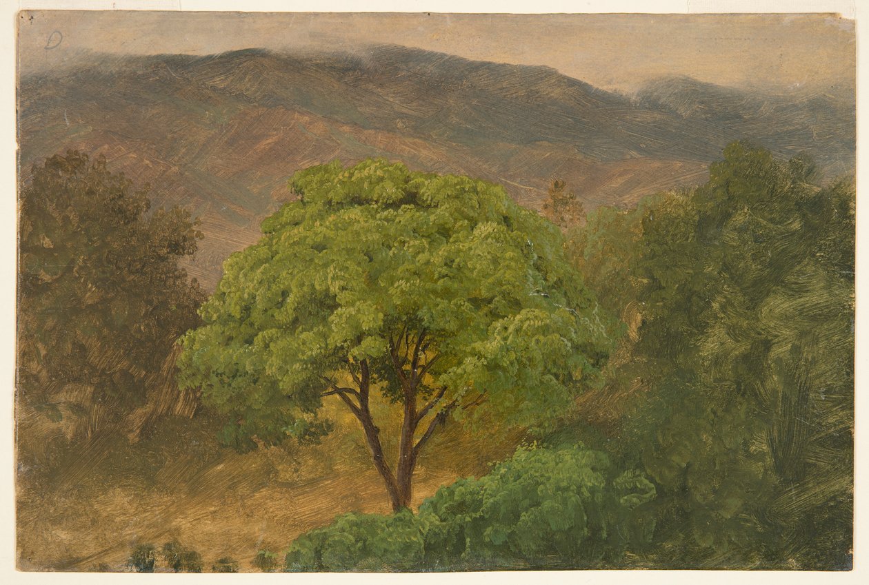 Genip Tree in the Mountains, Jamaica by Frederic Edwin Church