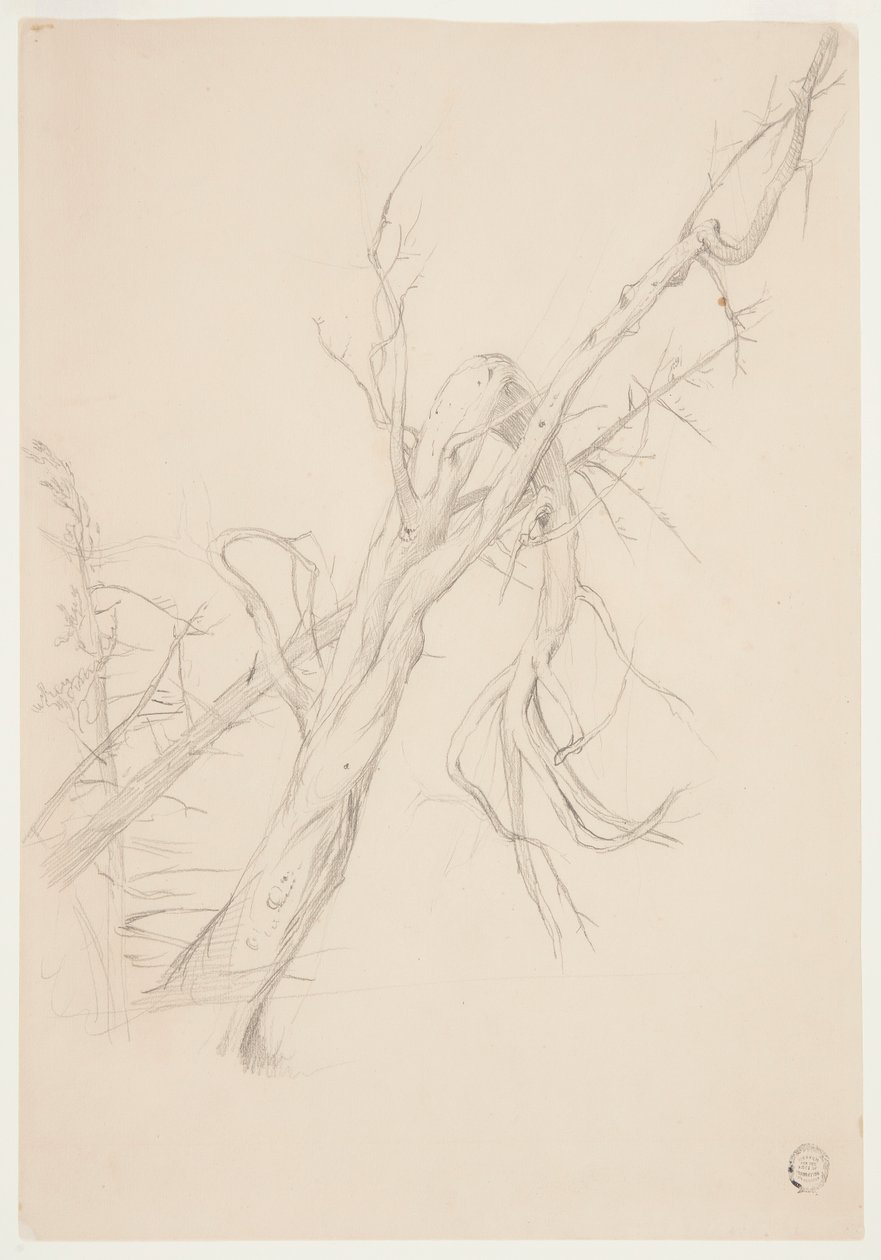 Gnarled Dead Tree by Frederic Edwin Church