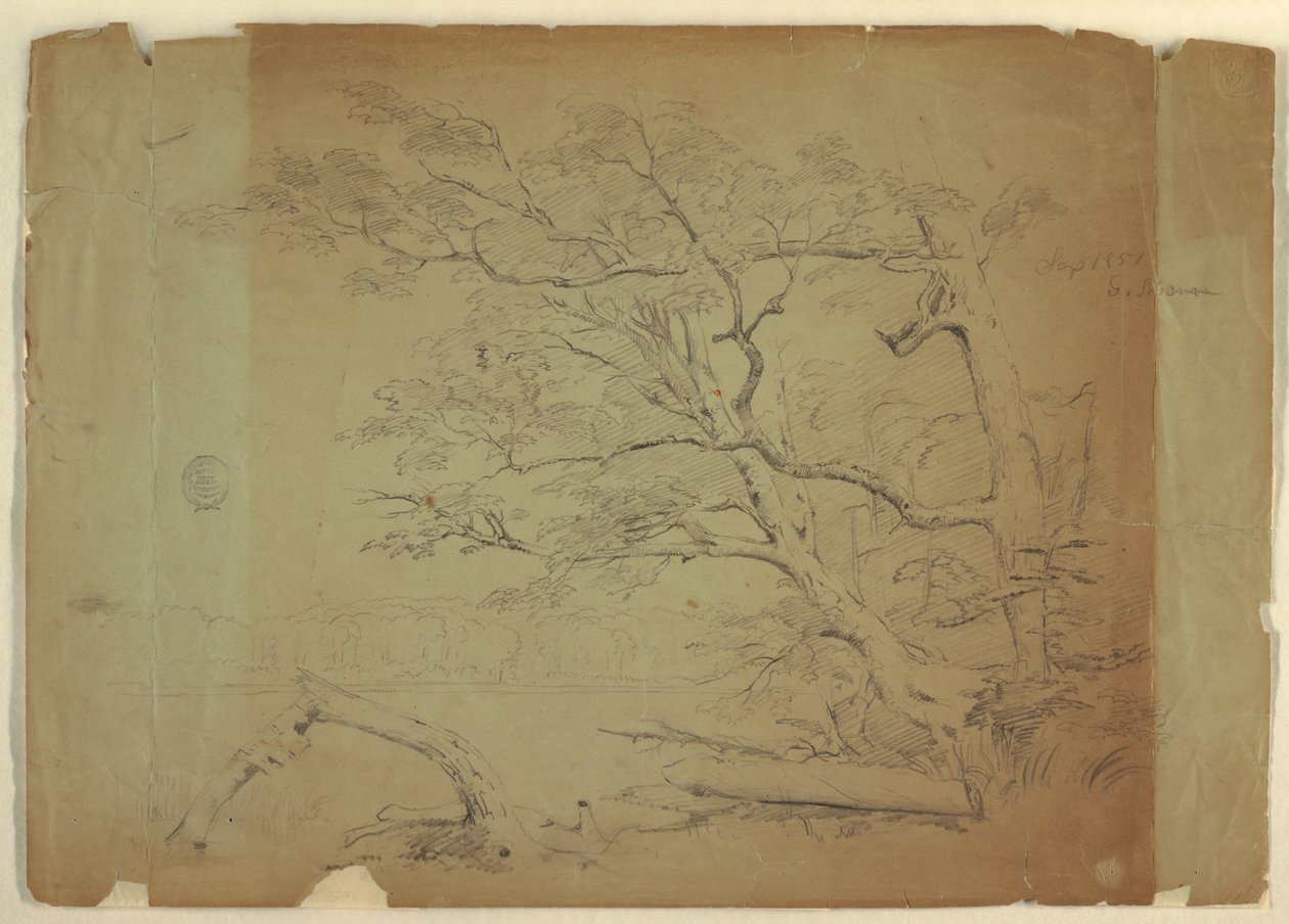 Landscape with Trees and a Stream, Grand Manan Island, Canada by Frederic Edwin Church